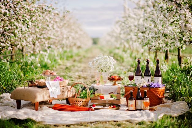 Picnic - Event Decor Styling - Floral Design - Florist - Finnriver